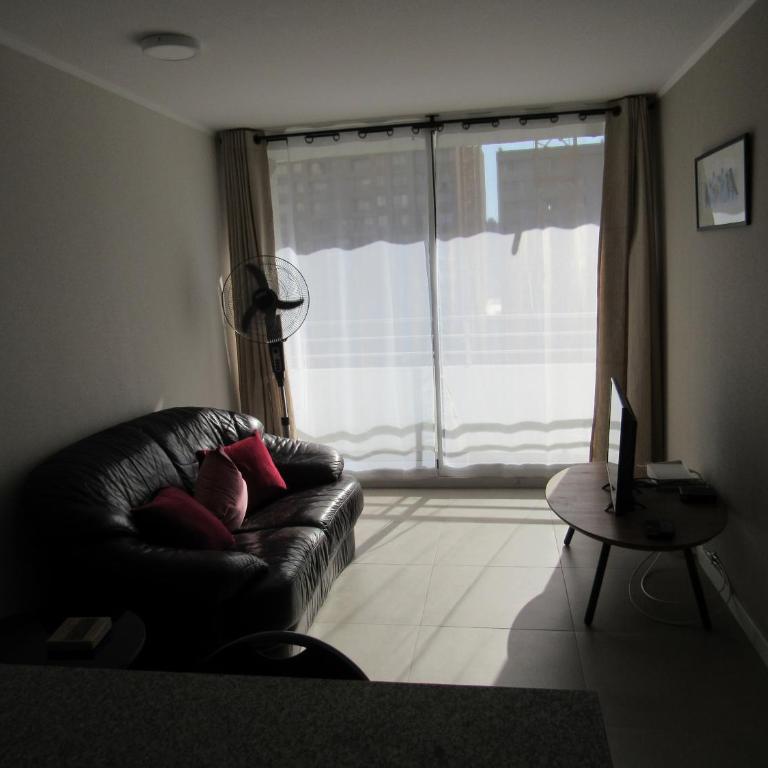 Birdhouse Apartment - One-Bedroom Apartment - 6