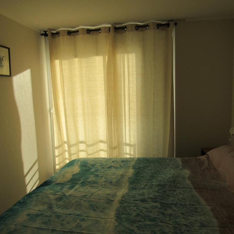 Birdhouse Apartment - One-Bedroom Apartment - 12