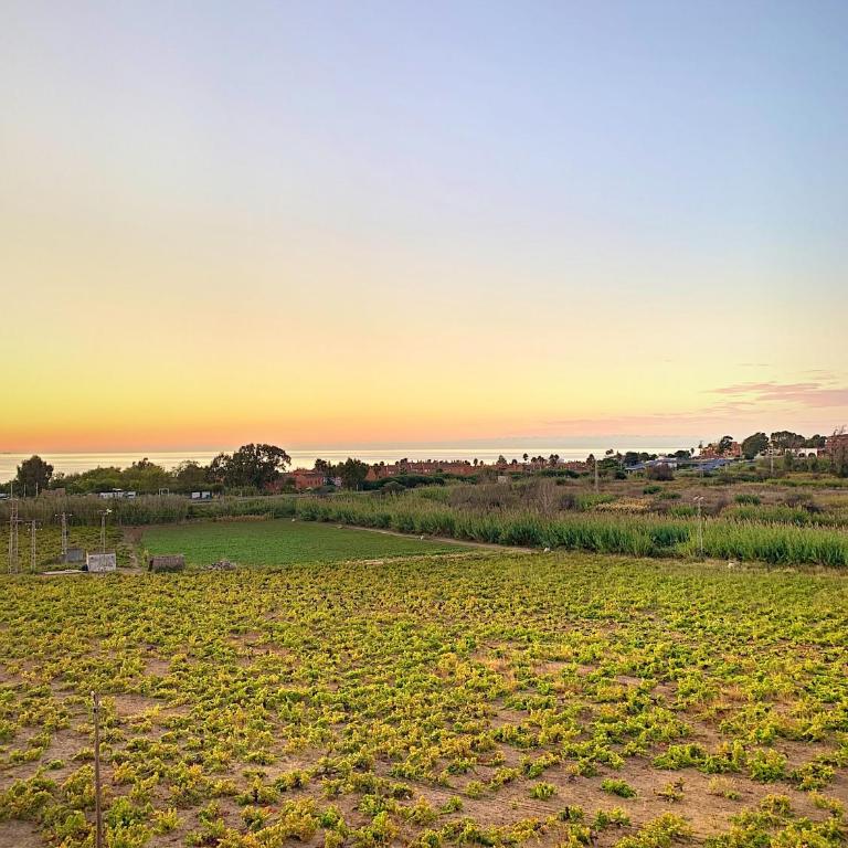 2303-Huge 2 bedrooms apt with sea view - Apartamento con vistas al mar - 38