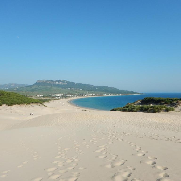 2303-Huge 2 bedrooms apt with sea view - Apartamento con vistas al mar - 37