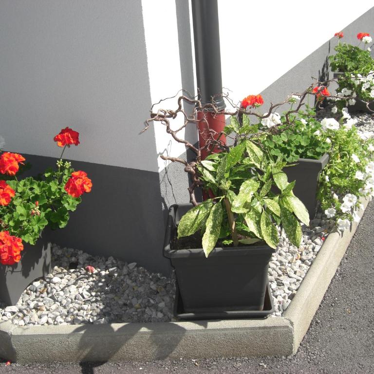 die Gartenwohnung - Tanja Tipotsch - Apartment - Split Level with Garden View - 11