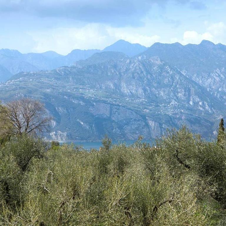 Villa Siresola - Villa con 3 Camere da Letto - 13