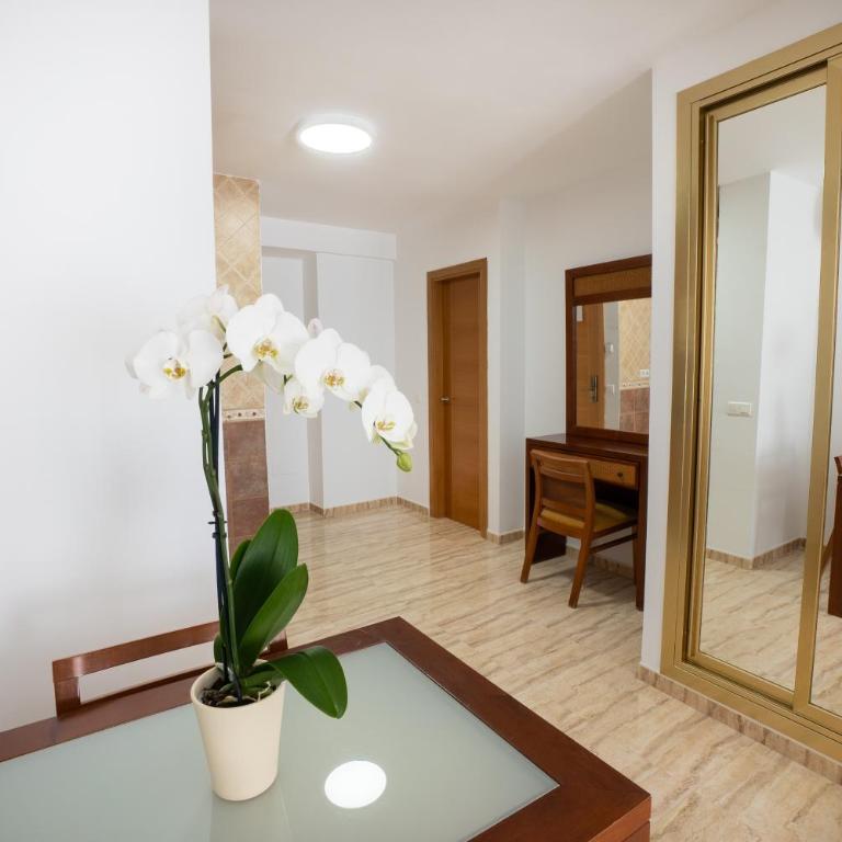 Apartamentos Jimmy - Estudio (2 adultos) - 3