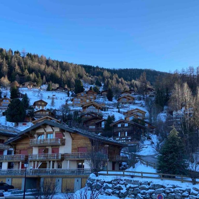 Studio - Cosy et central, Haute-Nendaz, 4 Vallées - Apartamento de 1 dormitorio - 11