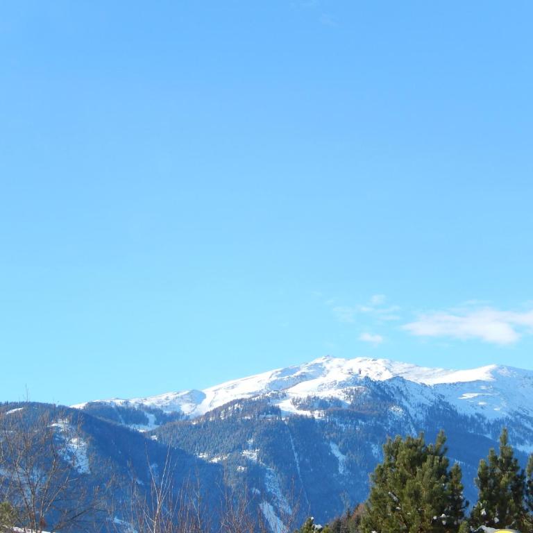 AlpenChalet Mitterberg - Haus mit 6 Schlafzimmern - 44