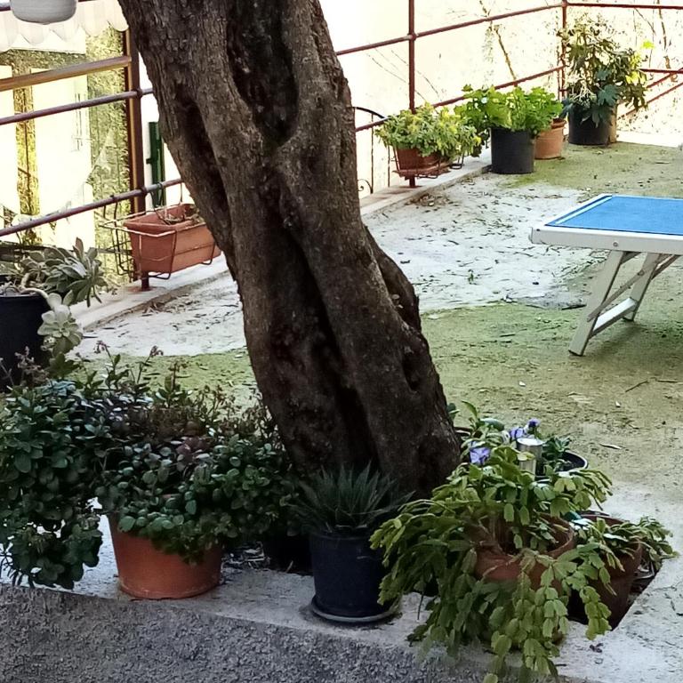 Casa dell'ulivo - Appartamento con 2 Camere da Letto - 2