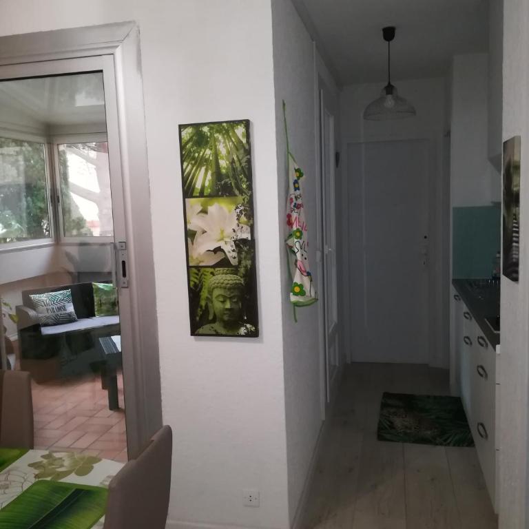Les écureuils à la mer - Appartement 1 Chambre - 45