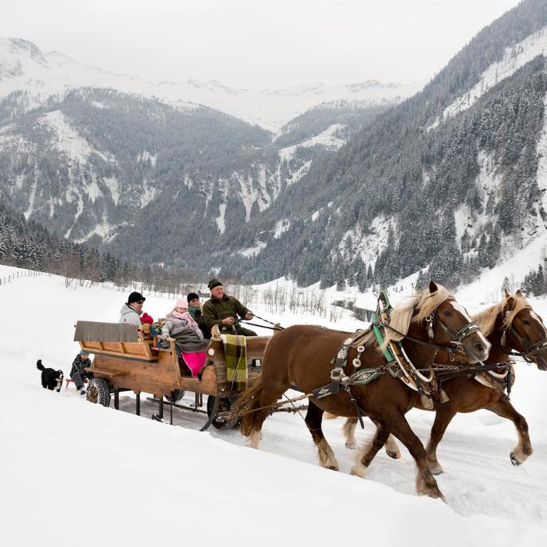 Almliesl HUET-484 - Chalet 2 Chambres - 11