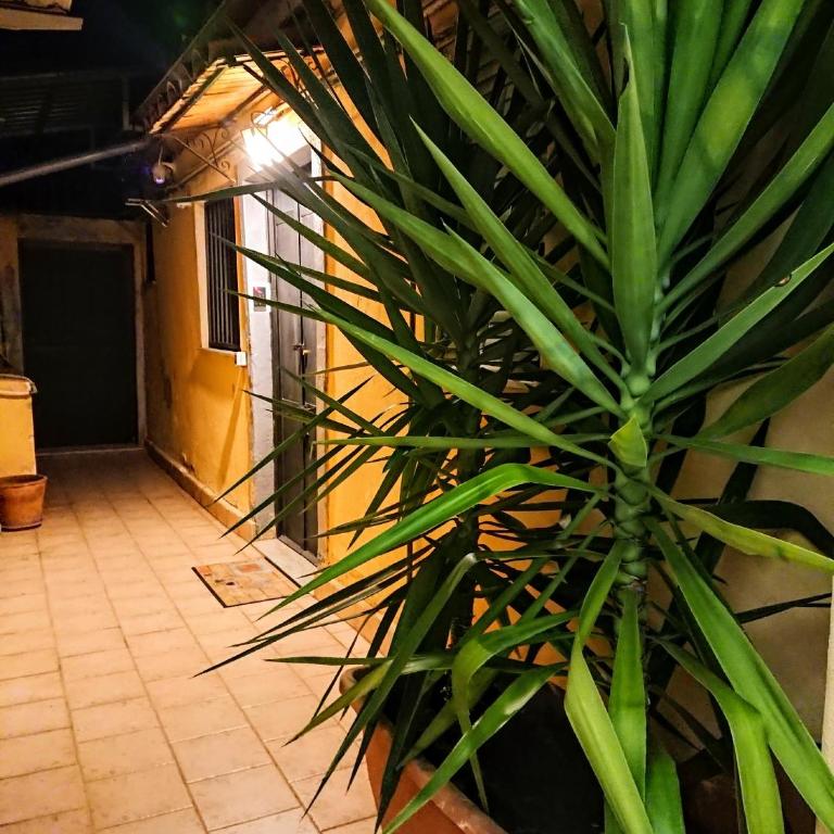 siculi central apartment - Two-Bedroom Apartment - 30