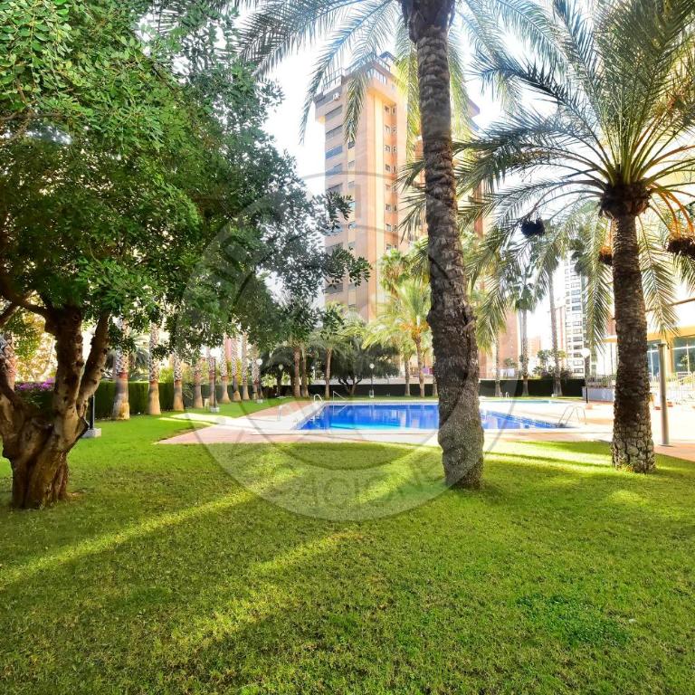Apartamentos Paraíso Centro - BenidormParaíso - Apartment - 8