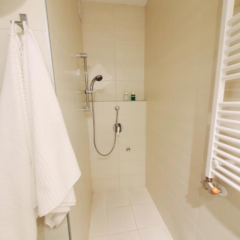 Smiljaniceva Urban Downtown Apartment - Apartman sa 3 Spavaće Sobe - 26