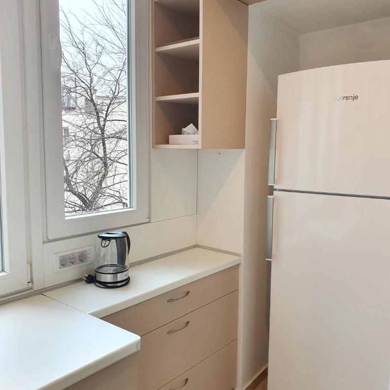 Smiljaniceva Urban Downtown Apartment - Apartman sa 3 Spavaće Sobe - 20