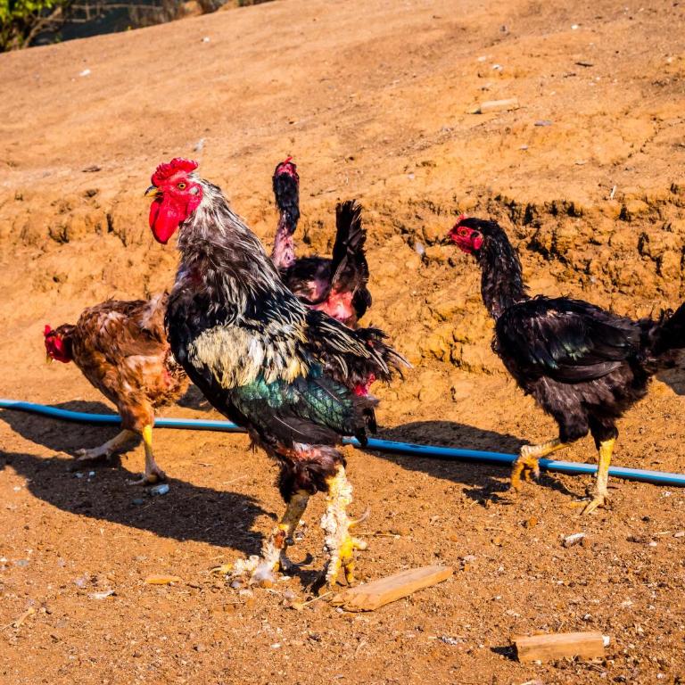 Converted Farm Loft - Loft - 22