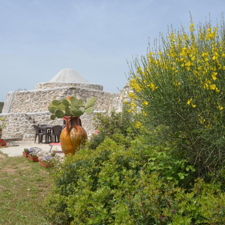TRULLO Minuetto - Casa Vacanze - 5