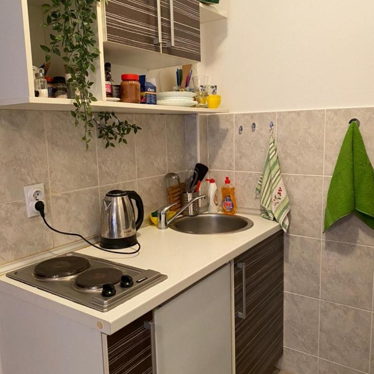 Mint Apartment studio - One-Bedroom Apartment - 4