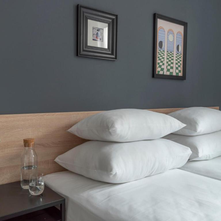 HostGost Selected Suites - Botanical Garden - Apartman Tipa "Suite" sa 1 Spavaćom Sobom - 10