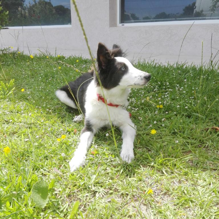 Cristales De Agua - Estudio - 11