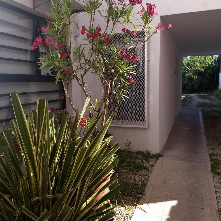 Departamento Rocío con cochera, La Perla, Mar del Plata - Apartamento de 1 dormitorio - 1