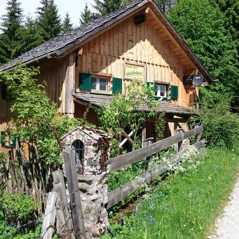 Knödl-Alm Waldhäusl - Haus mit 1 Schlafzimmer - 1
