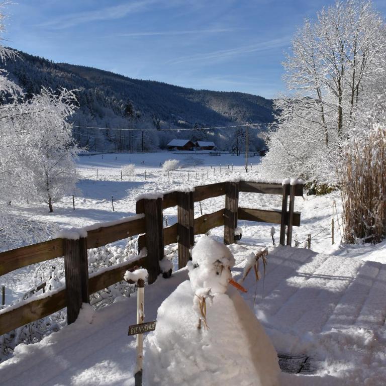 Chalet en rondins - 3 minutes des pistes - Chalet con 3 Camere da Letto - 34