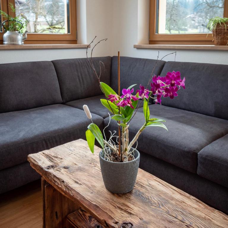 Ferienhaus Höllwarth - Apartment mit Gartenblick - 6