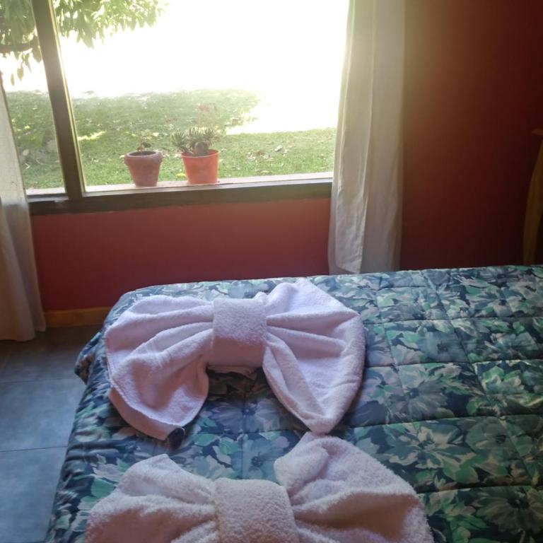 Rancho Apar T - - Casa de 2 dormitorios - 44