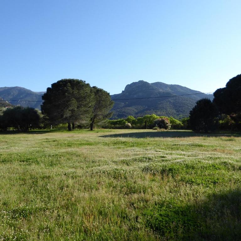 Mas Paret Gîte Massane - Studio - Vue sur Montagne - 14