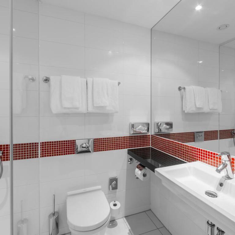 Holiday Inn Munich - Leuchtenbergring by IHG - Habitación Estándar - 1 cama grande - 5