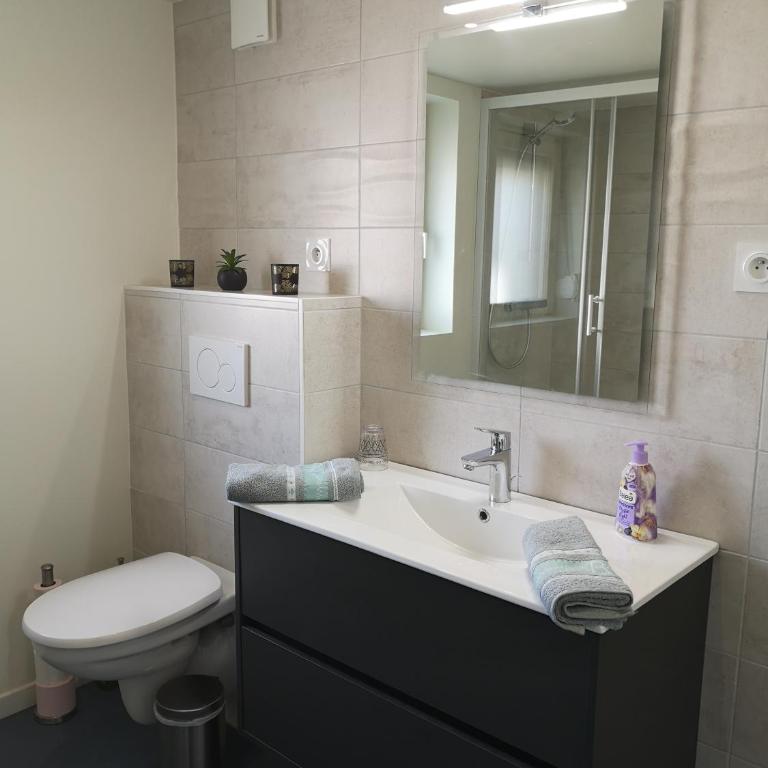Le Cocon de Tom - One-Bedroom Apartment - 4