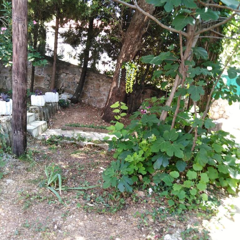 Apartmani Lav - Studio Apartman sa Pogledom na More - 26