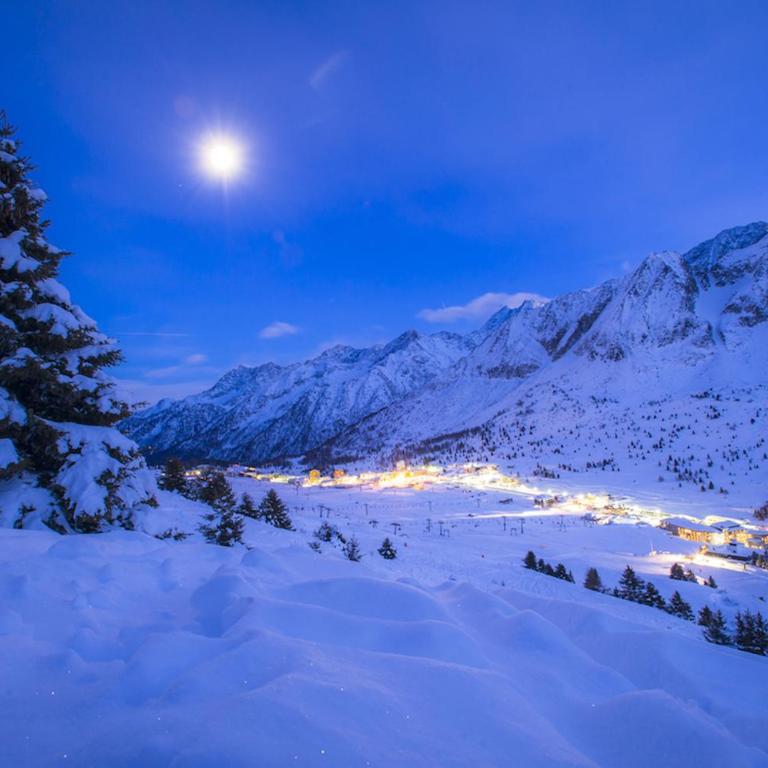 Chalet Fiocco di neve, Passo del Tonale - Appartamento - 29