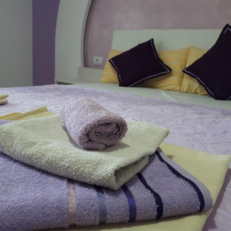 Smeštaj Milenković - Apartman sa 2 Spavaće Sobe - 2