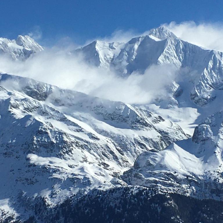 les Cimes d'Or Mont blanc - One-Bedroom Apartment - 32