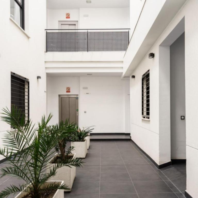 Family apartment Patio&Swimming pool in center Malaga - Apartment - 51