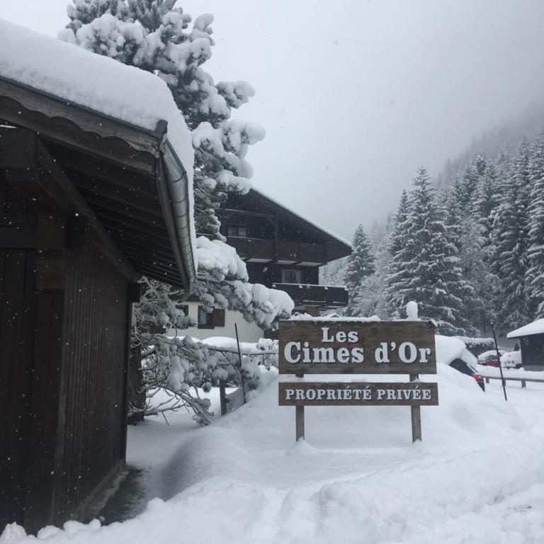 les Cimes d'Or Mont blanc - One-Bedroom Apartment - 20