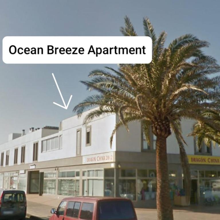 Ocean Breeze Apartment - Apartamento de 3 dormitorios - 17