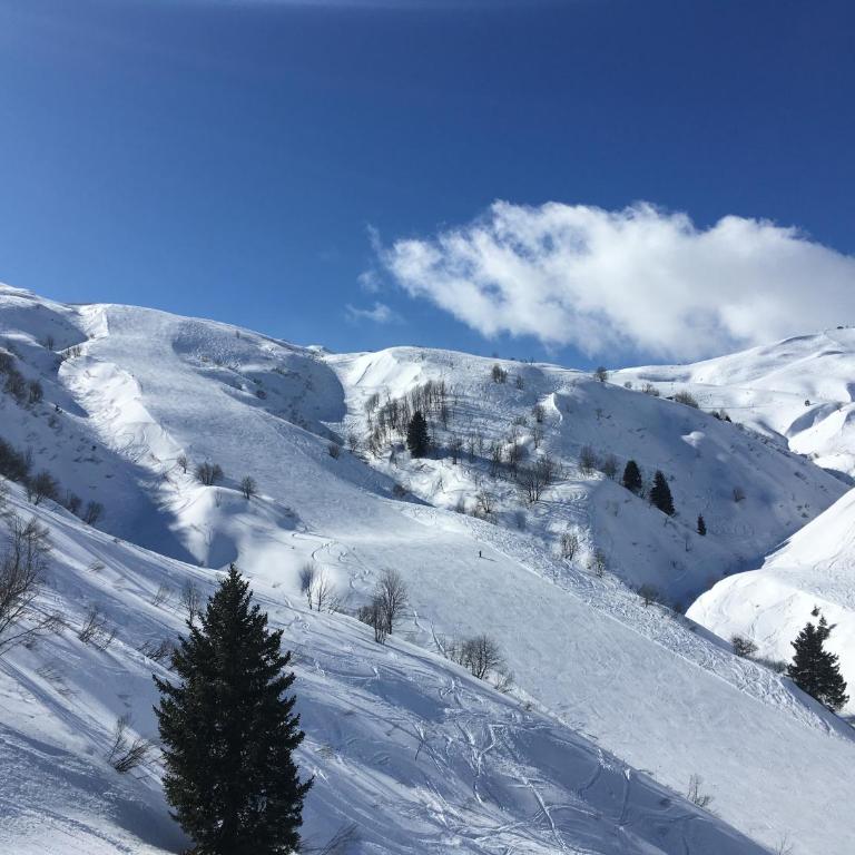les Cimes d'Or Mont blanc - One-Bedroom Apartment - 30