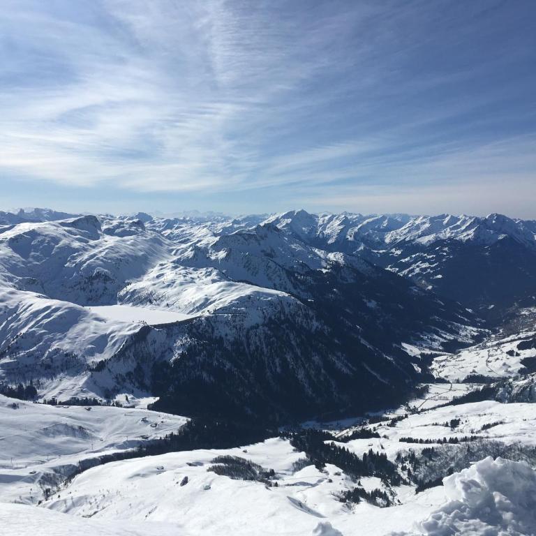 les Cimes d'Or Mont blanc - One-Bedroom Apartment - 33