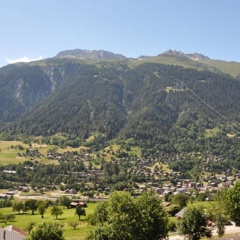 Chalet-Schümli Maisonette - Maisonette - 5