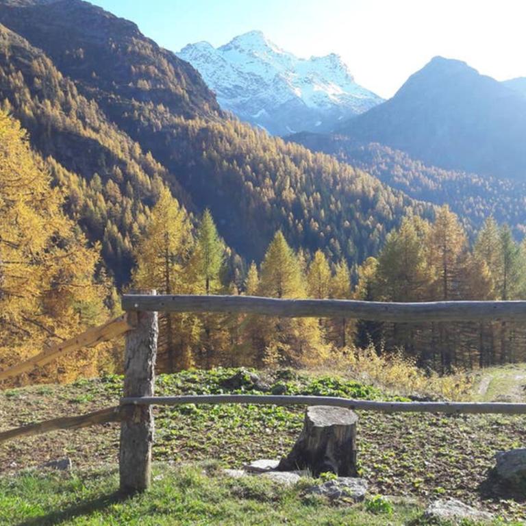 Chalet-Schümli Maisonette - Maisonette - 19