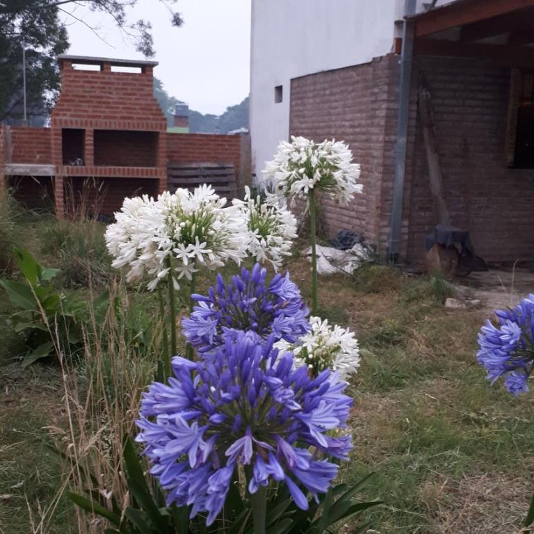 EL DESCANSO. - Casa de 2 dormitorios - 16