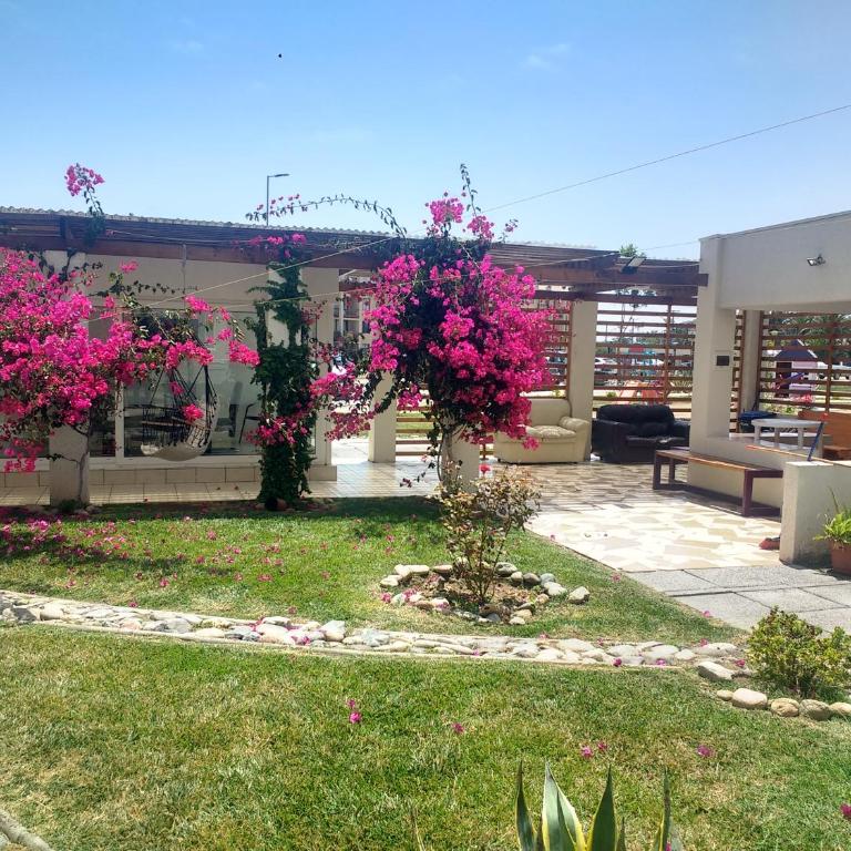 Departamento Amoblado a Pasos del Faro - Apartamento de 2 dormitorios - 20