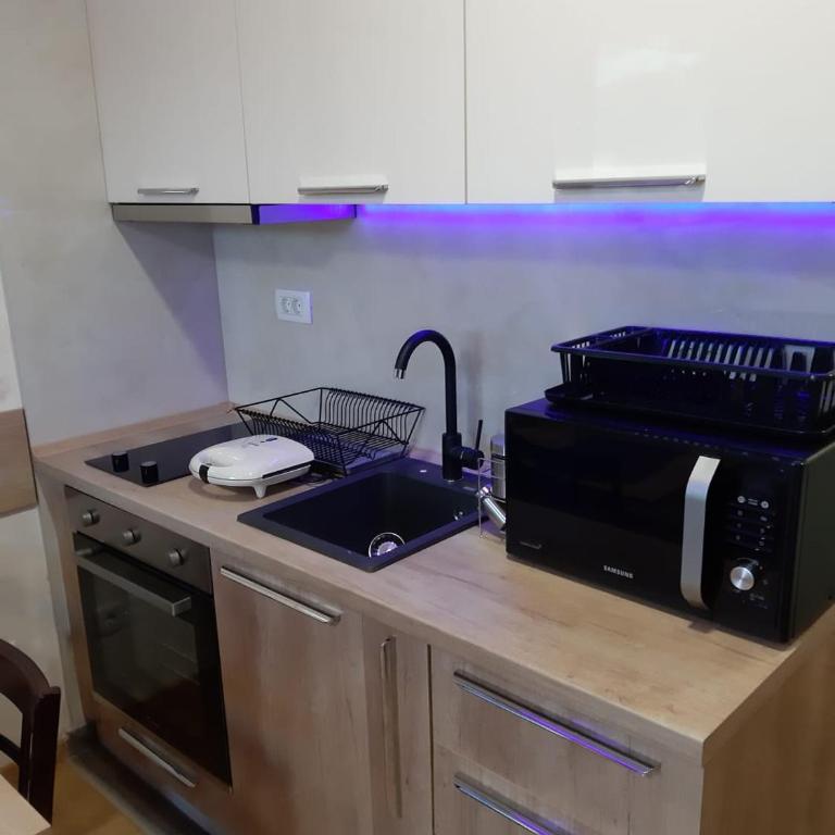 Zlatibor apartmani centar studio - Deluks Studio - 10