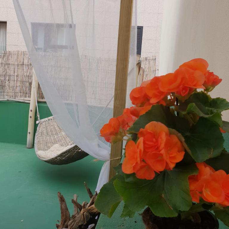 Cactus Host - Suite - 11