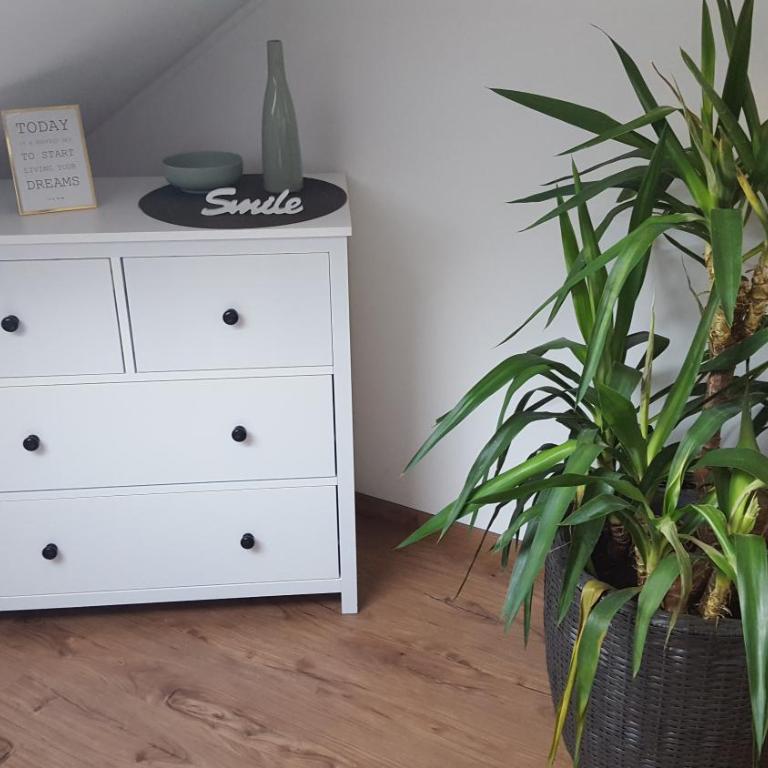 Ferienwohnung Antonia - Ferienhaus - 26