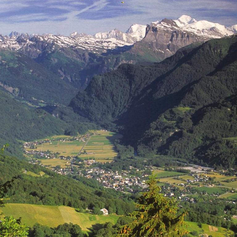 La Ferme de Sous-Lachat - Apartment with Mountain View - 3