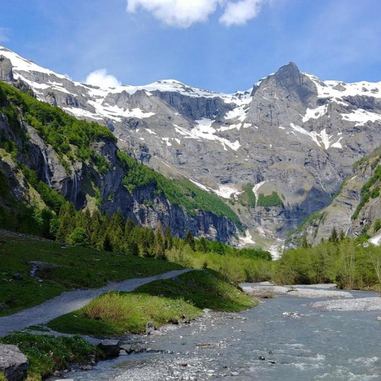 La Ferme de Sous-Lachat - Apartment with Mountain View - 6