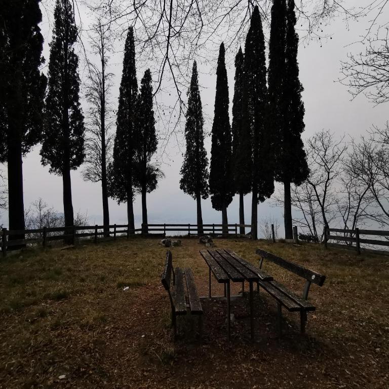 Near Villa Monastero and Castello di Vezio - Appartement - Vue sur Lac - 54