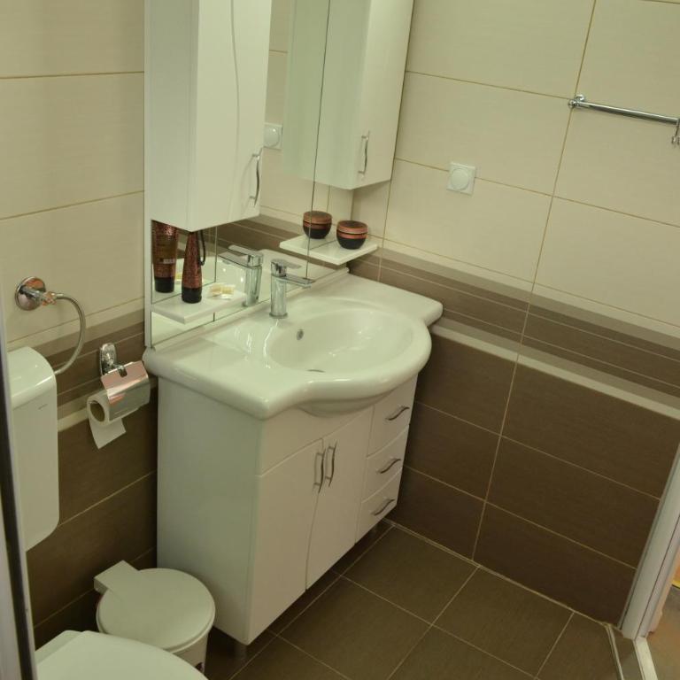 Smeštaj Milenković - Apartman sa 1 Spavaćom Sobom - 6