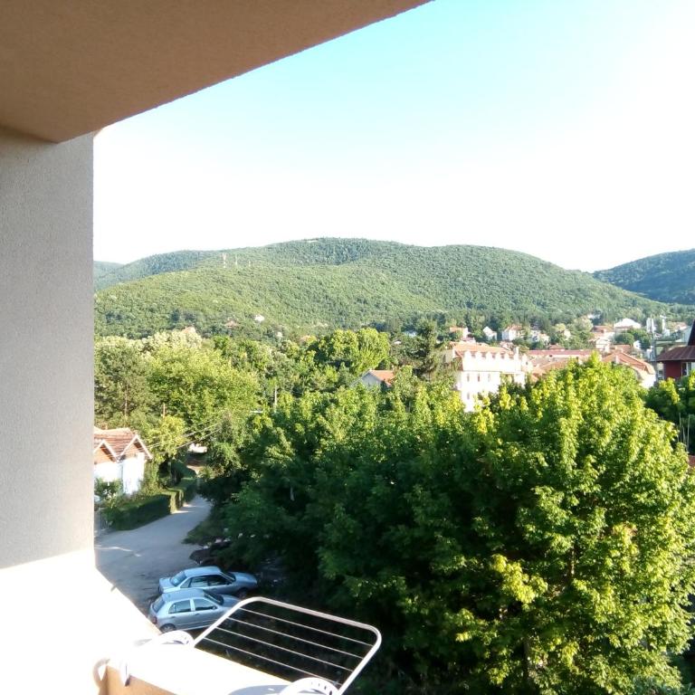 Smeštaj Milenković - Apartman sa 1 Spavaćom Sobom - 8